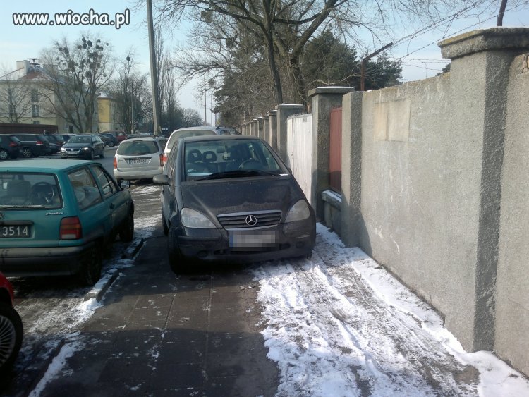 Mistrz parkowania