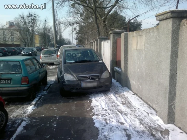 Mistrz parkowania