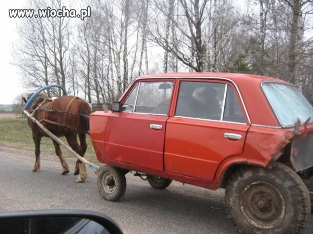 Chcesz się ścigać... to dawaj mam jednego konia