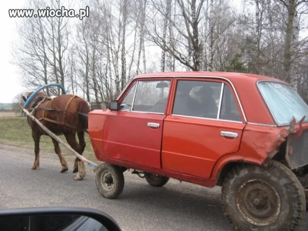 Chcesz się ścigać... to dawaj mam jednego konia