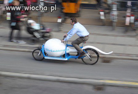 Moto-Plemnik!!