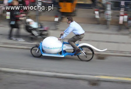 Moto-Plemnik!!