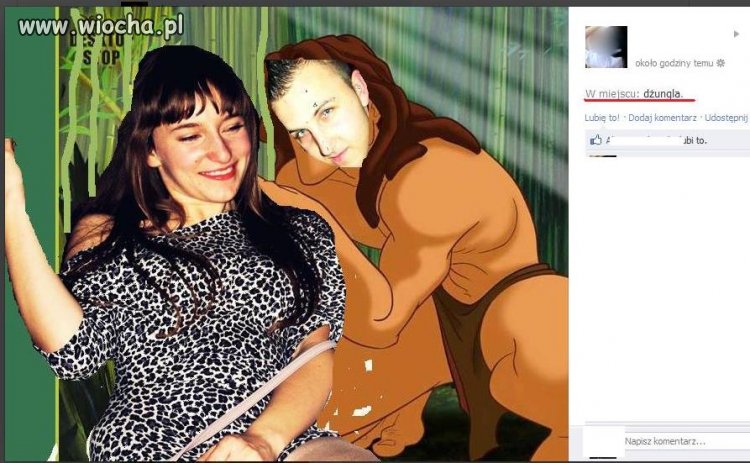 W dżungli...