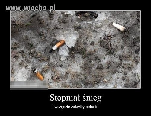 I nie tylko...