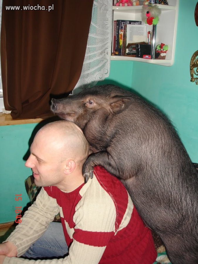 Prywatna masażystka?