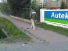 Próg zwalniający przechodniów