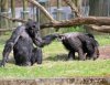 Takie tam w zoo.
