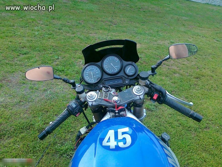 Wiocha allegro 