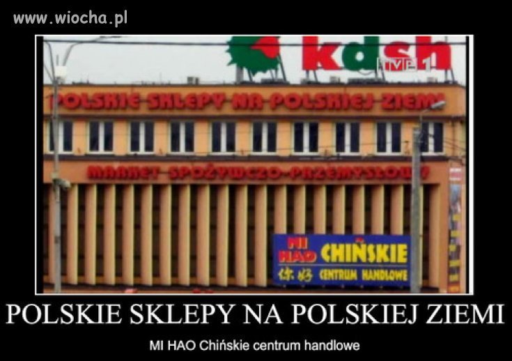 Sami to oceńcie