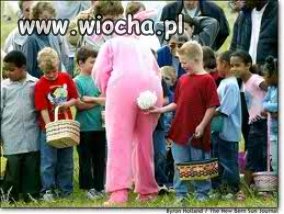 Bunny