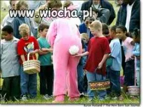 Bunny