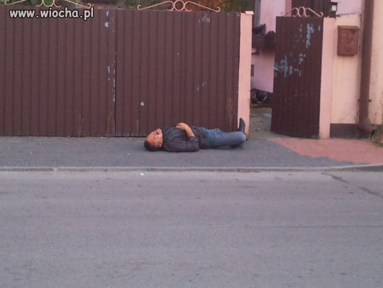 Niedziela 11 rano