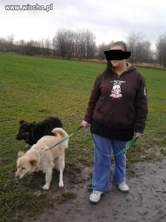 Piesek srający drugoplanowy