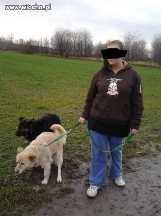 Piesek srający drugoplanowy