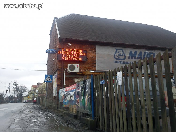 Rysiek z klanu...