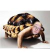 Mistrz painta