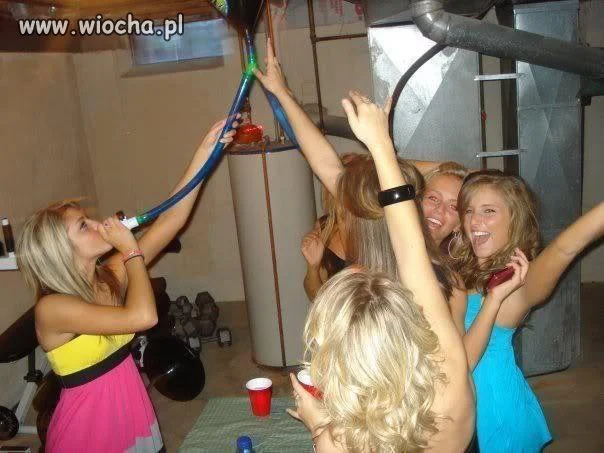 Party hard