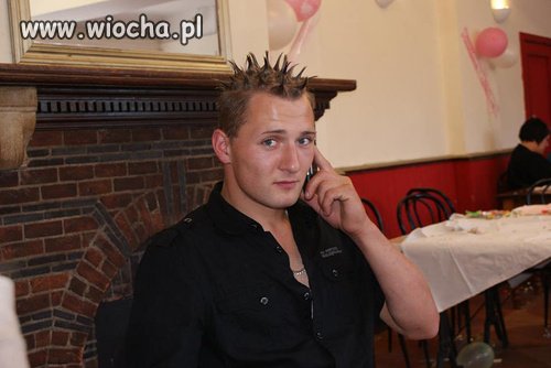 Fryz na szczotę do kibla 