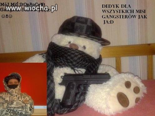 Miś gangster strzeż się!