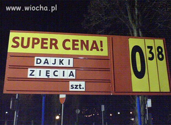 Dajki zięcia 