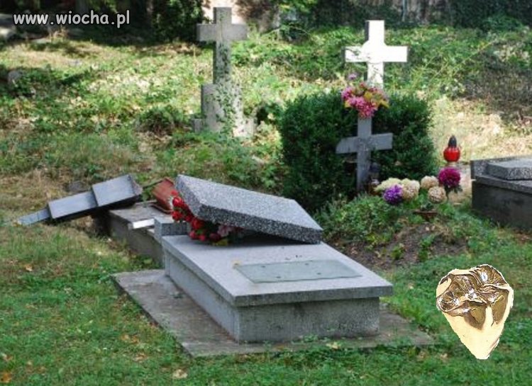 Dołujące jest to do czego ludzie są zdolni