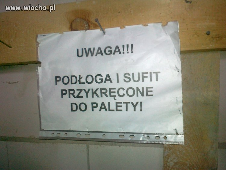 I teraz pomyśleć po co tyle szkoły mu było