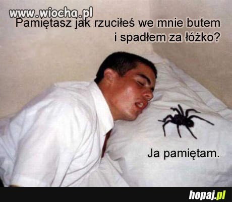 Uważaj z kim zadzierasz