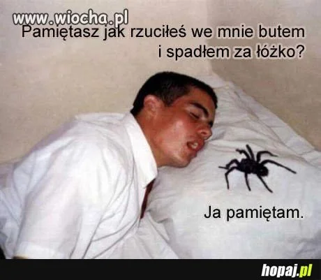 Uważaj z kim zadzierasz