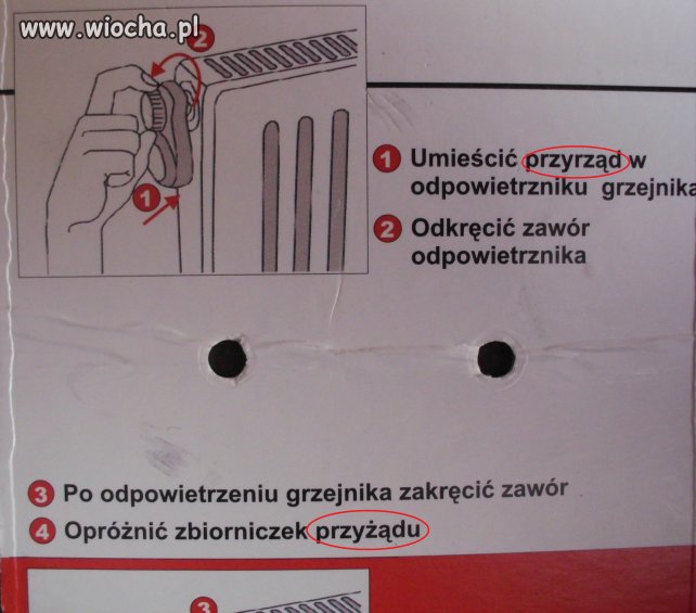 Mistrzowie ortografii