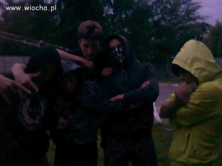 Gangsta 