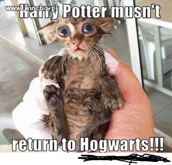 Harry Potter...