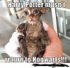 Harry Potter...