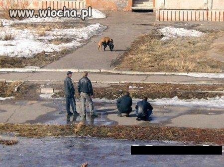 Bo jest na co patrzeć...