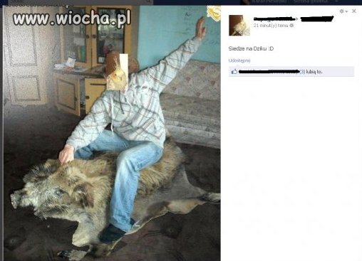 Siedzę na dziku 