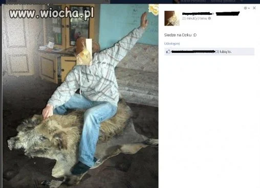 Siedzę na dziku 