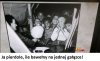 Ja upadłem