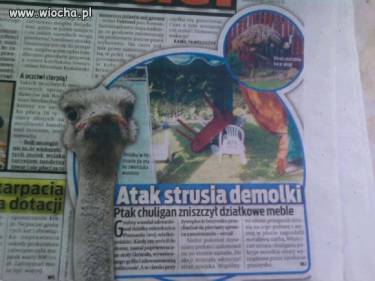 Atak strusia demolki