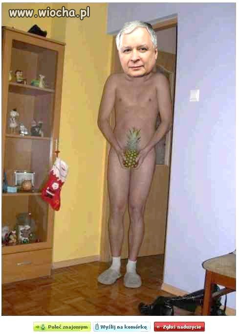 Ale mam ananaska mistrz gimpa 