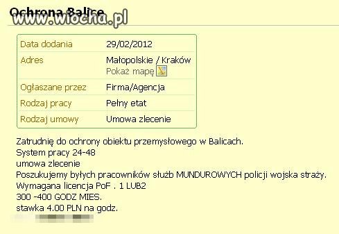 Oferta pracy