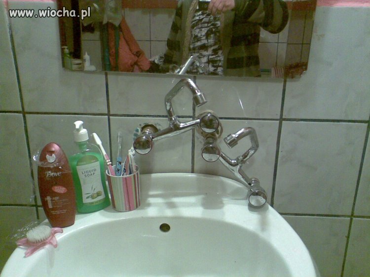 Fachowa robota