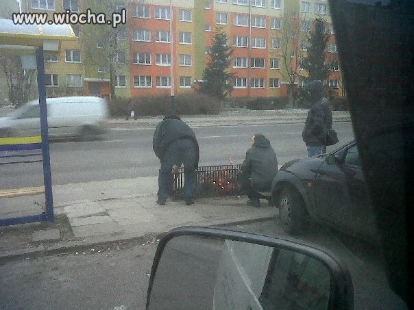 Kiełbasa z koksownika...