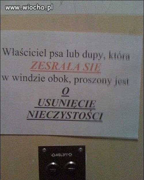 Kupa w windzie 