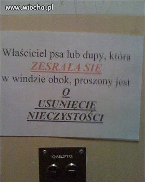 Kupa w windzie 