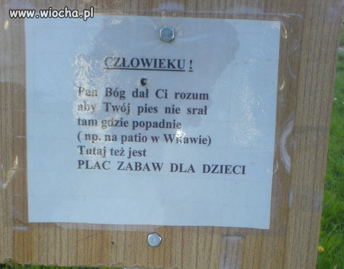 Człowieku