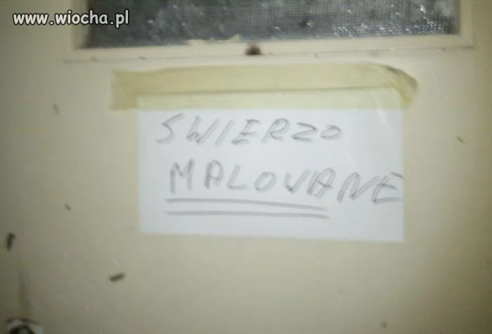 W końcu woźny nie?
