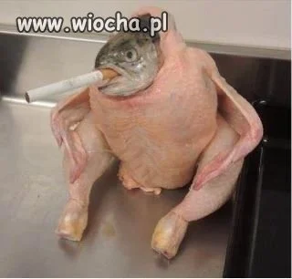 Hm... ktoś się nudził