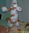 Ninja