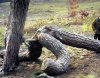 Natura też potrafi.