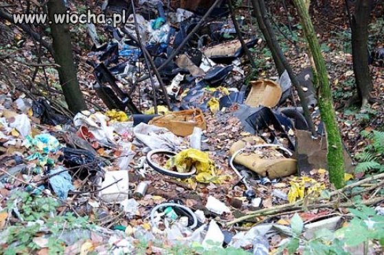 Wstyd jak ludzie potrafią niszczyć środowisko