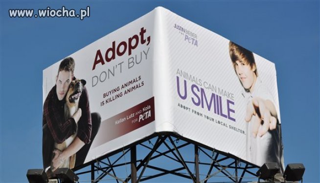 Co przyciągnie uwagę
